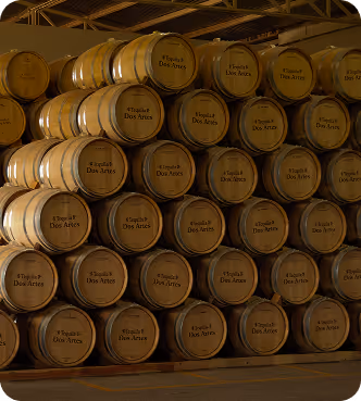 Stack of wooden barrels labeled Tequila Dos Artes stored in a warehouse.