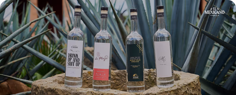 Four El Mexicano tequila bottles on a stone surface surrounded by agave plants.