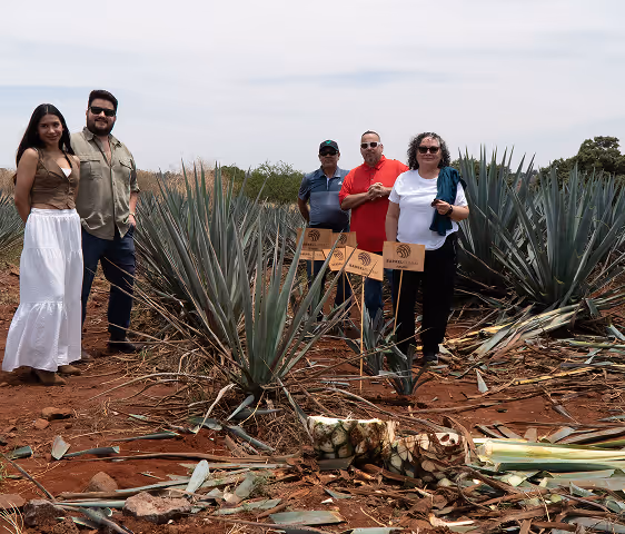 Five people standing in an agave field with harvested agave piñas and signs in the soil.