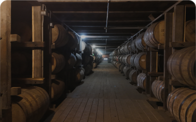 Dimly lit cellar with rows of wooden barrels stored on racks along the walls.
