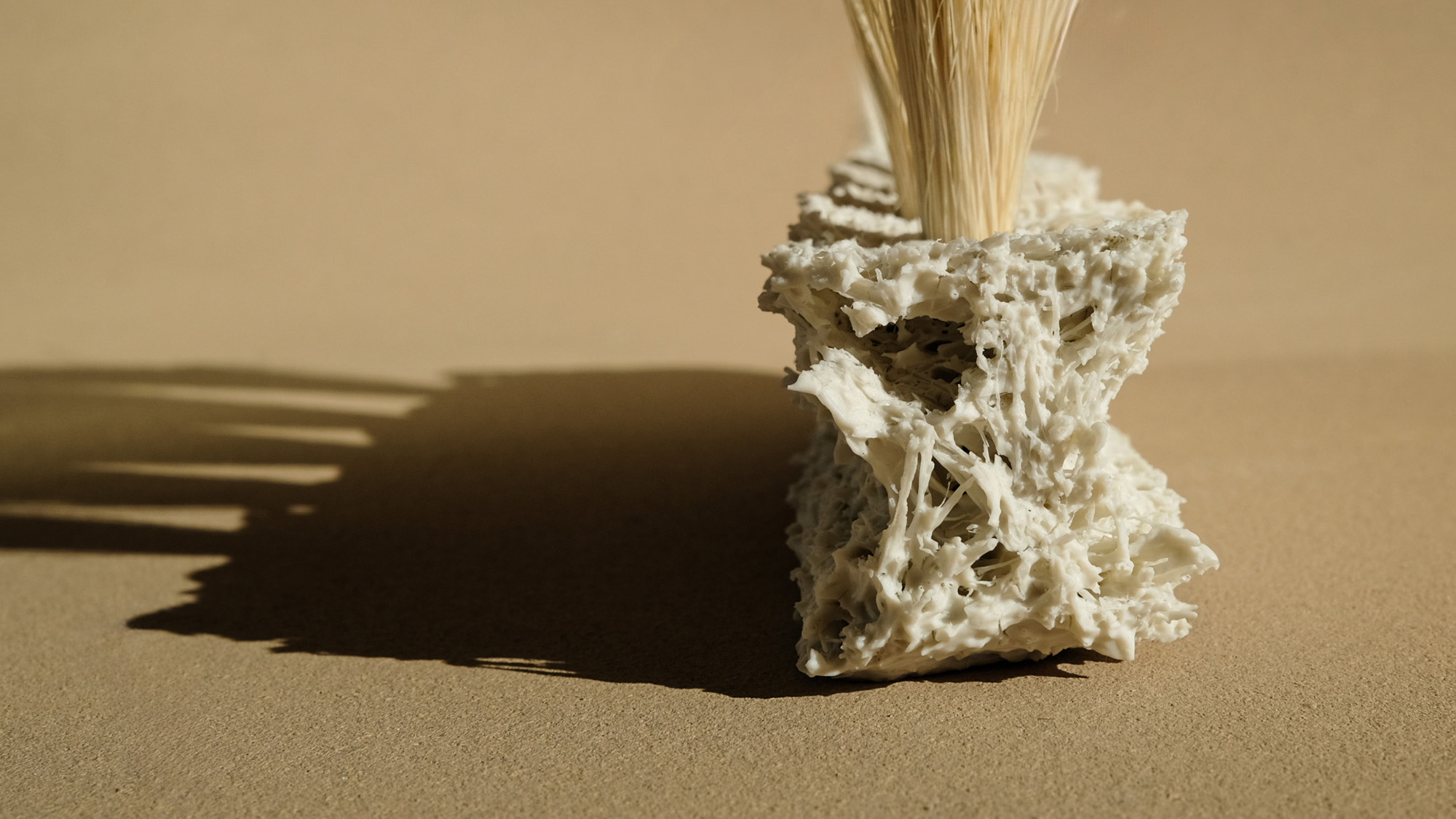 Nic Frehner Shifting Fibers Tampico Detail