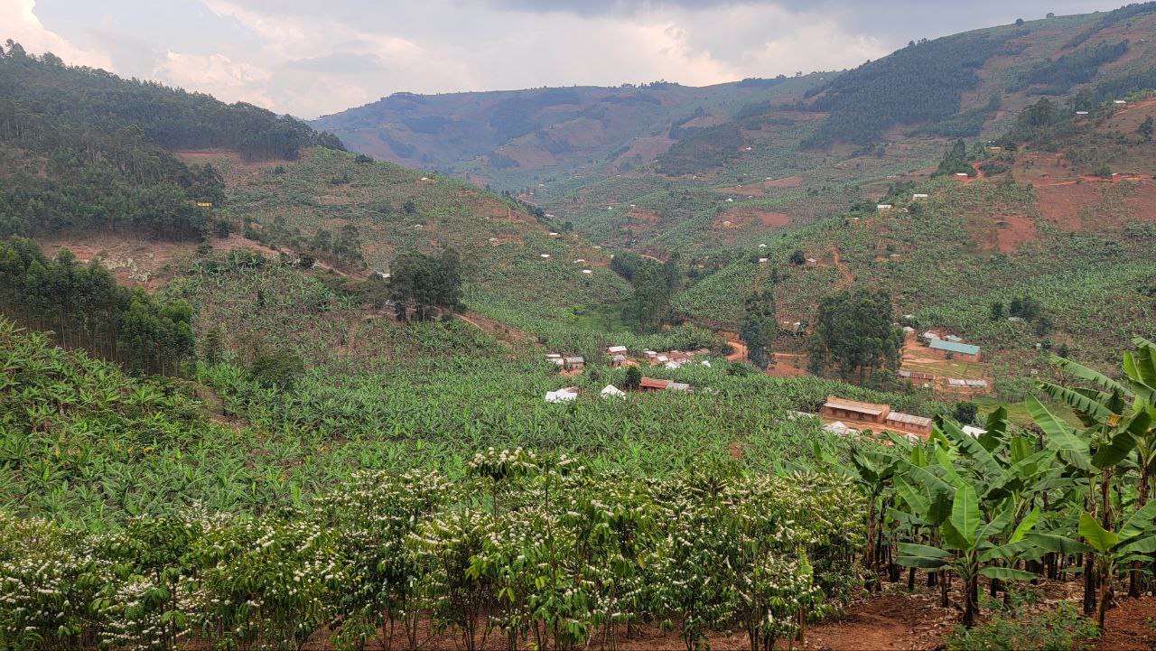 IRRIGATION FOR CLIMATE RESILIENCE PROJECT