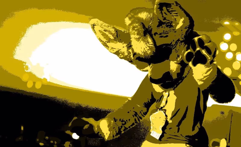 A fursuiter dances it out on the dance floor. Photo by LugiaBerry.