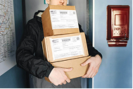 E-commerce Delivery: An Insider’s Guide for Online Businesses