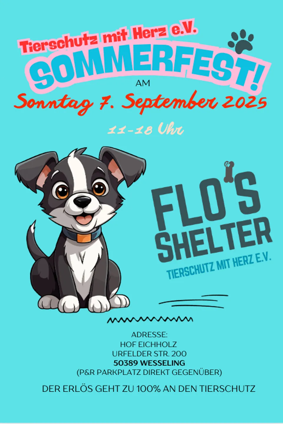 Bild des Sommerfest Flyers