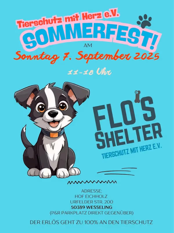 🌞 Charity-Sommerfest – Gemeinsam für die Tiere in Rumänien