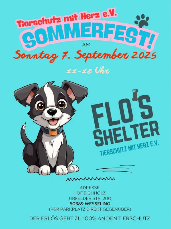 🌞 Charity-Sommerfest – Gemeinsam für die Tiere in Rumänien