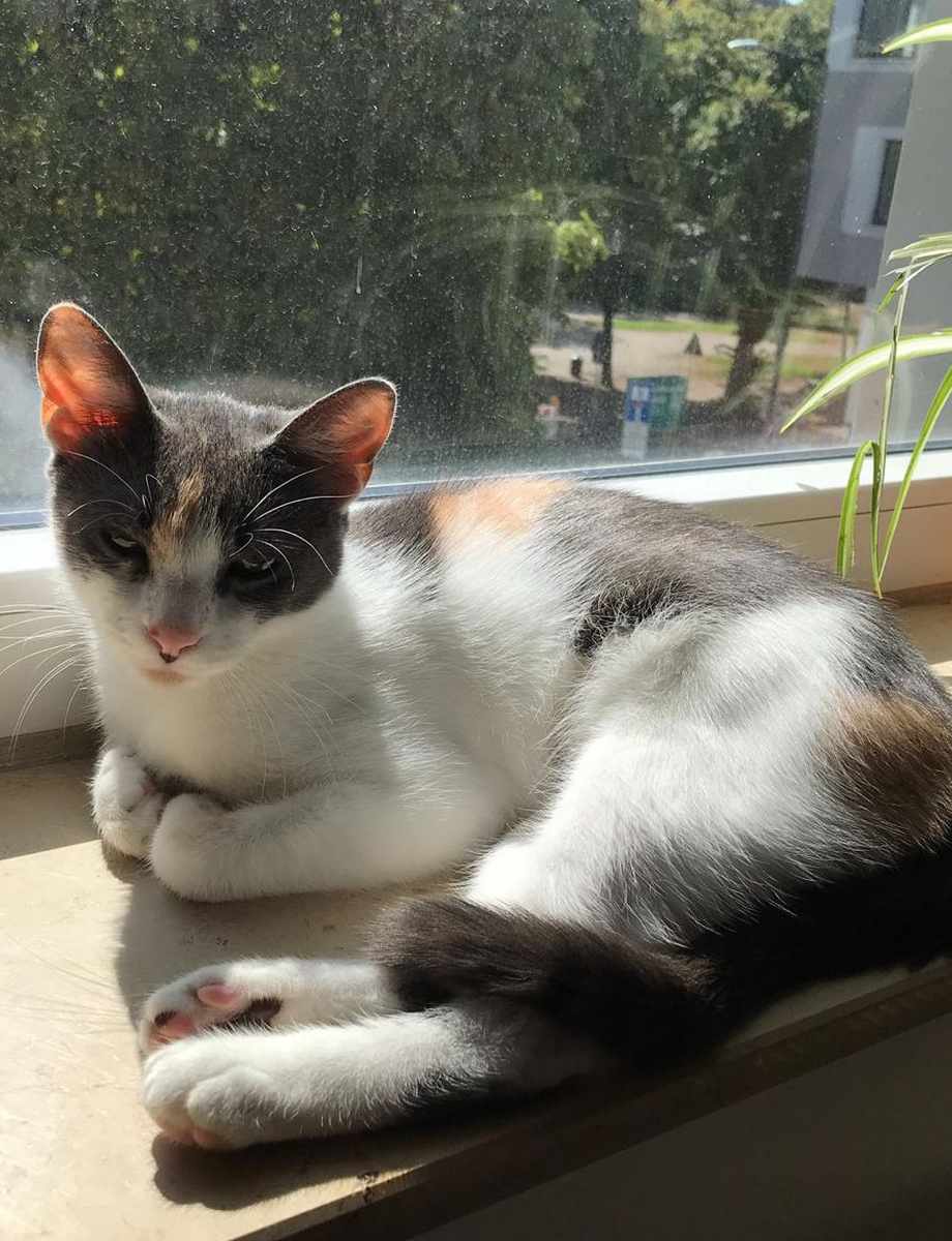 Lucy