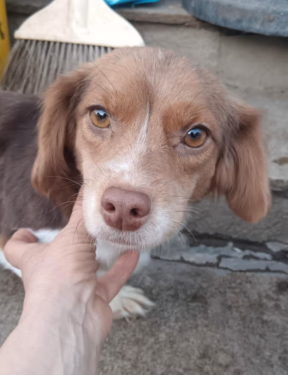 Slinda