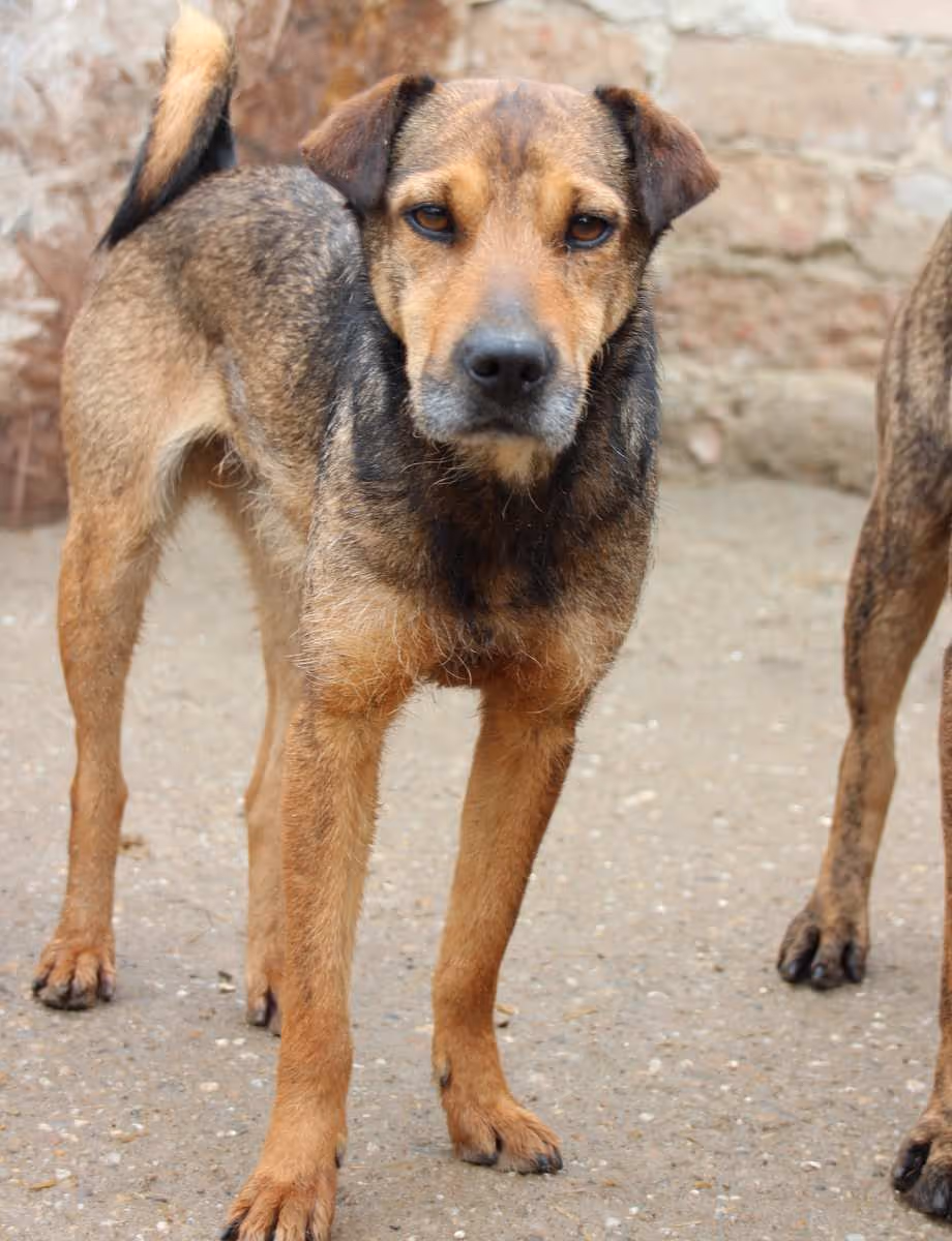 Zita