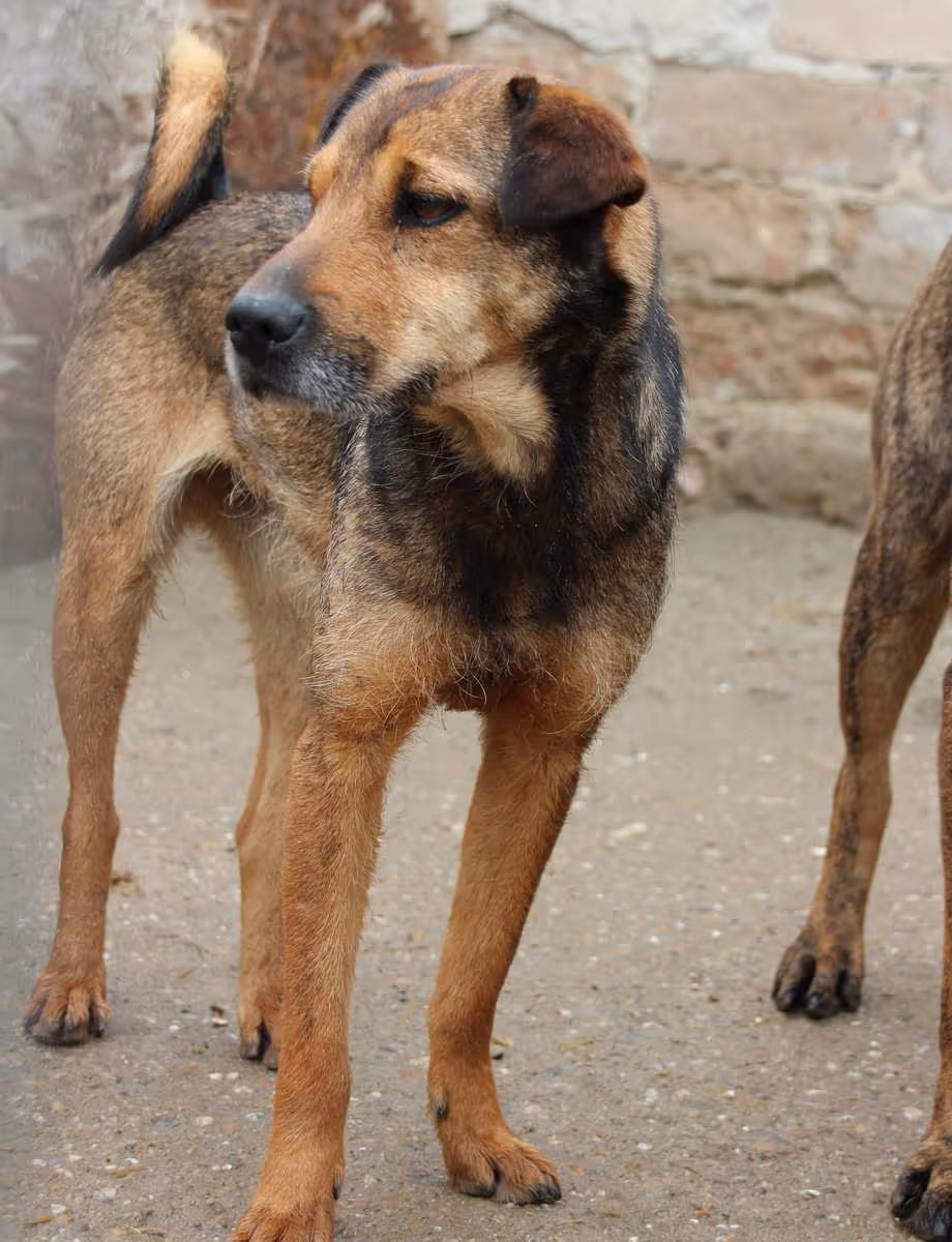 Zita