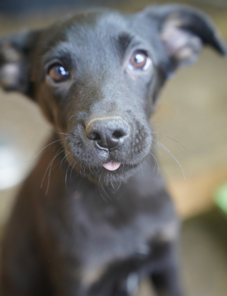 Küra