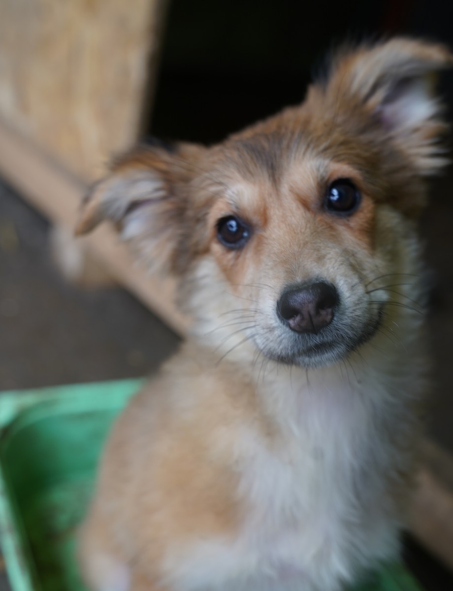 Kita