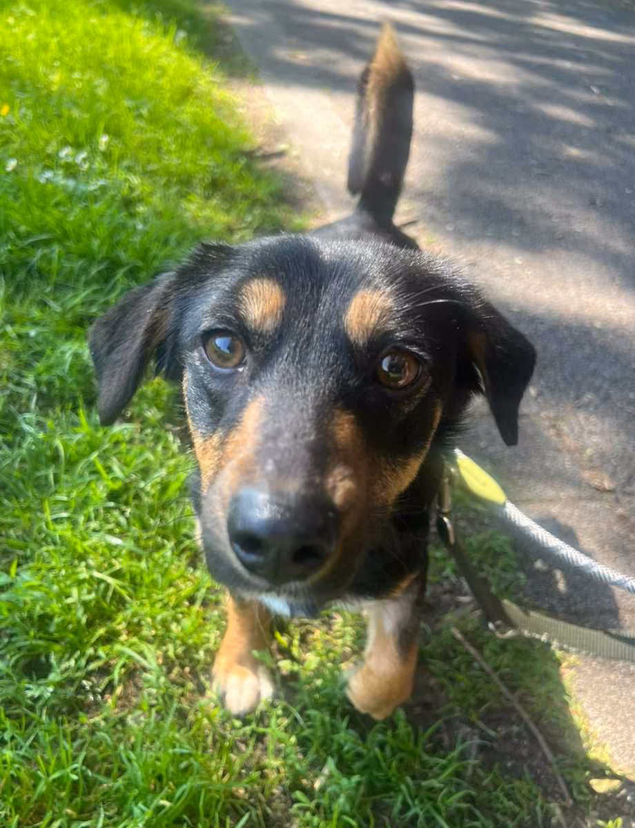 Nellie