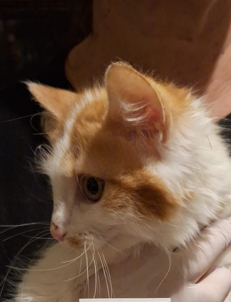 Ben