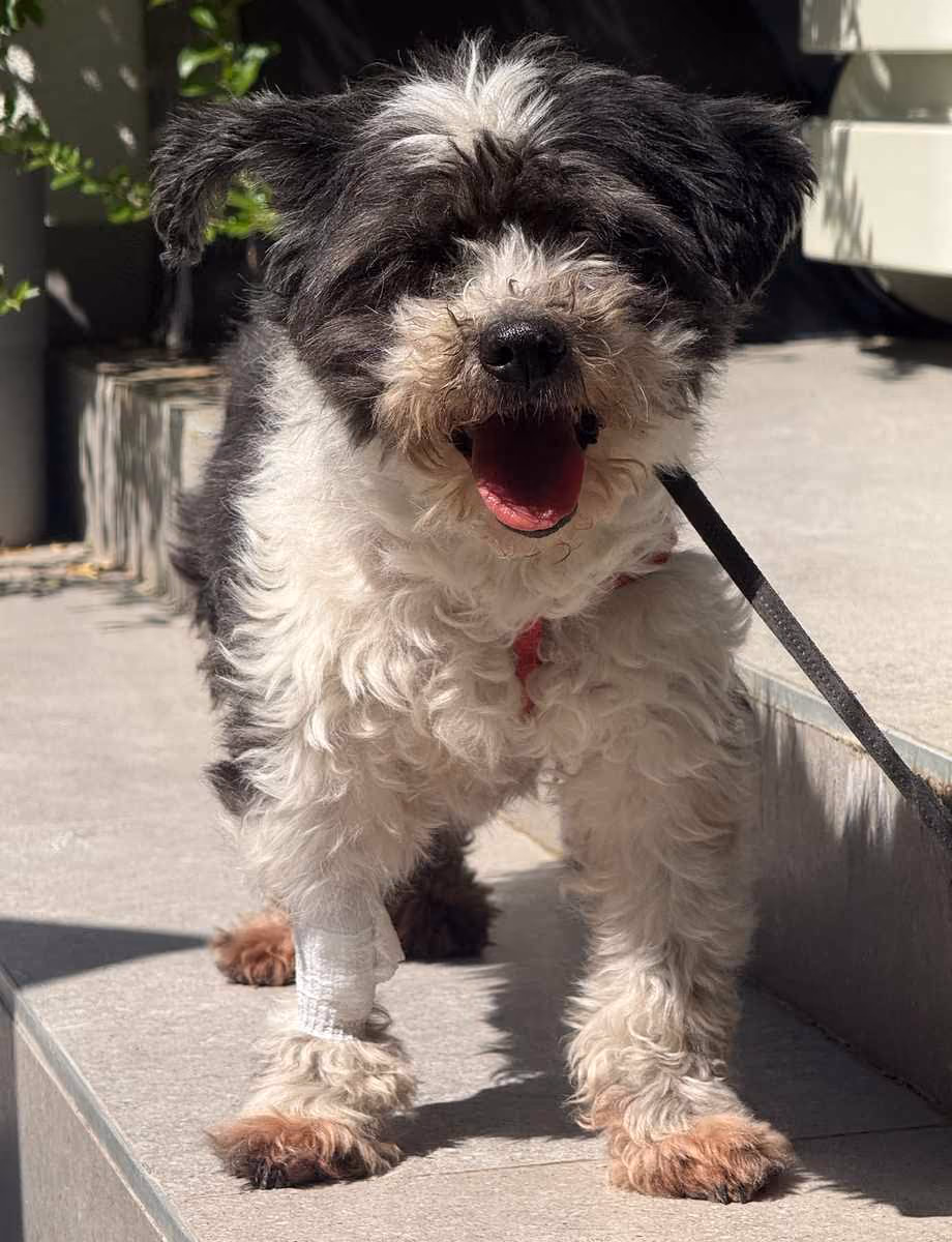 Miti