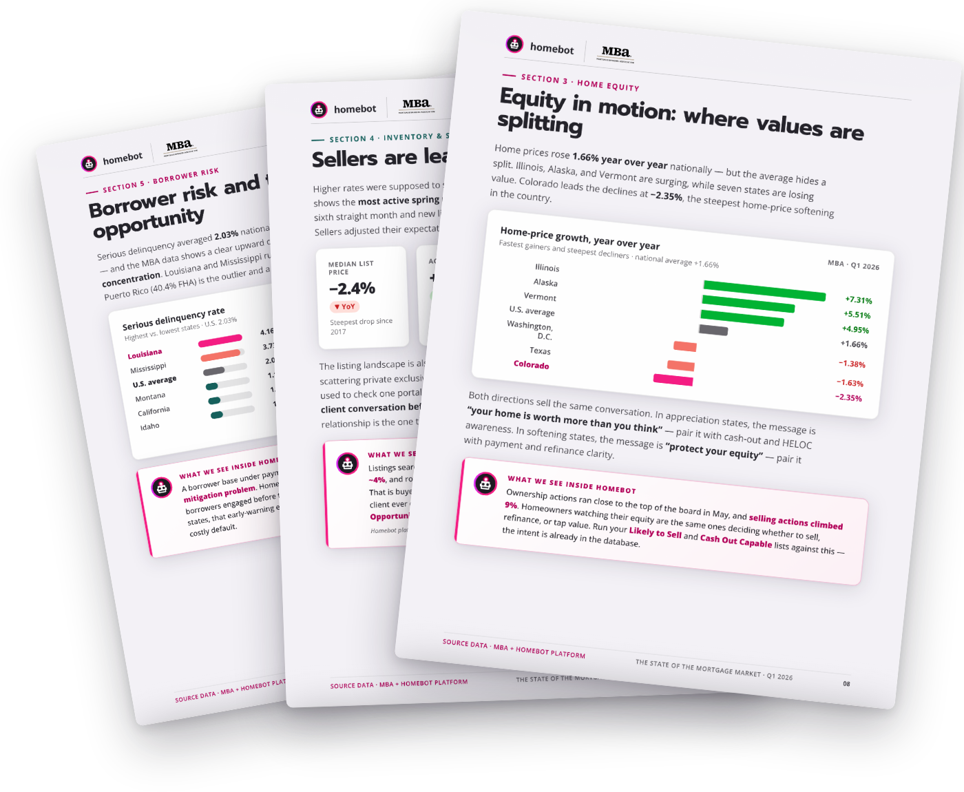 Report pages: home equity, sellers, and borrower risk sections