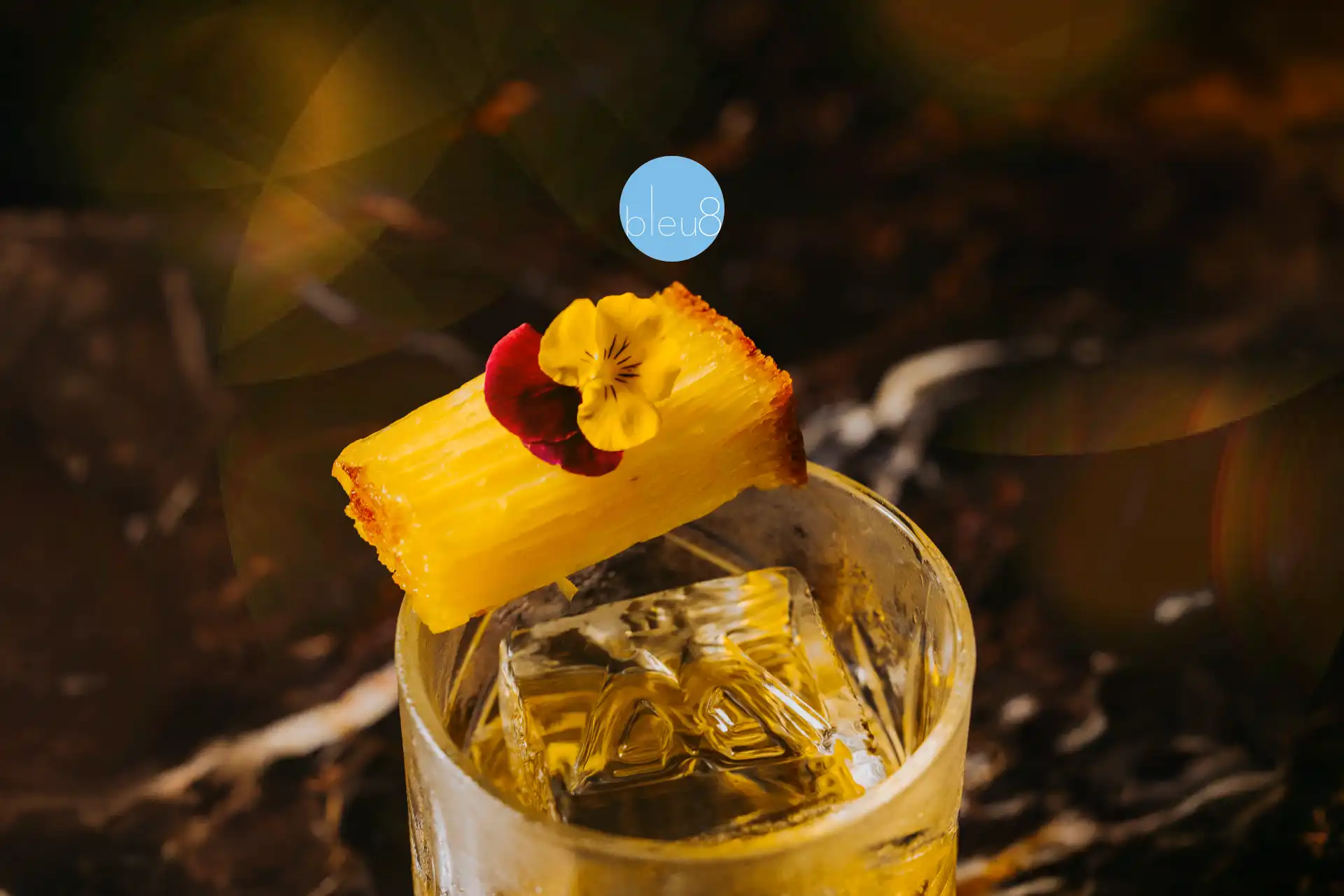 Signature cocktails at Bleu8 featuring Yuzu Negroni and Bika Ambon Old Fashioned