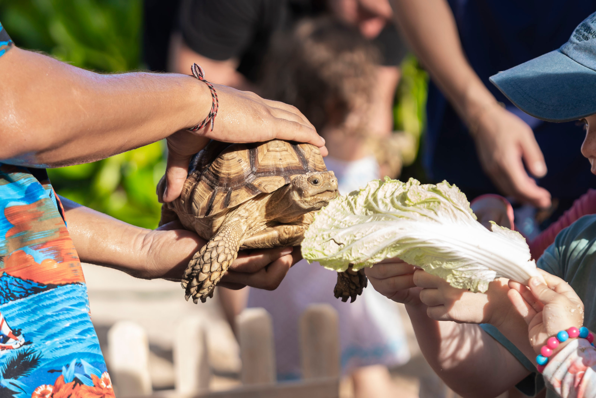 Easter at Mulia Bali beachfront resort in Nusa Dua with ocean views and family moments