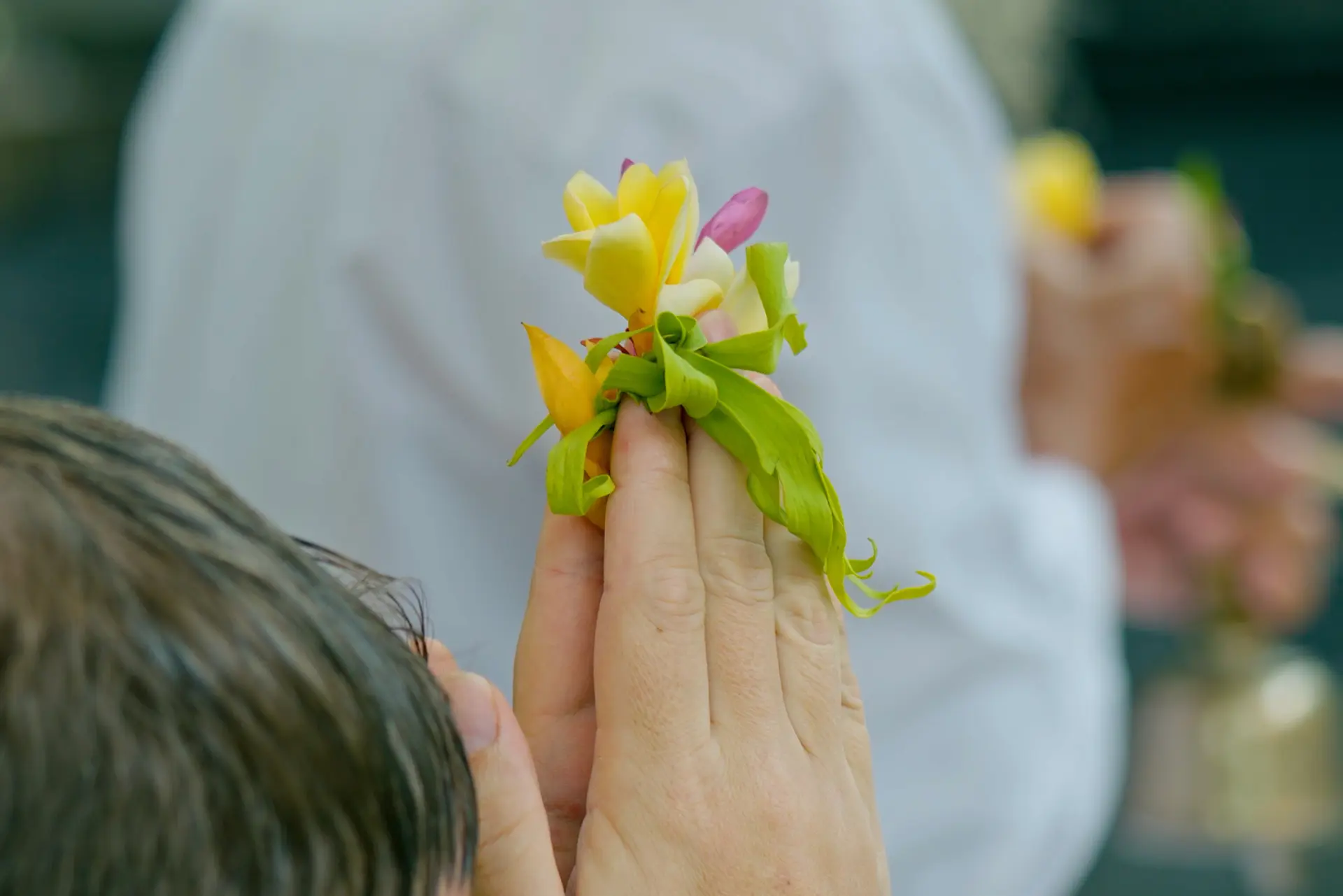 Close-up of a guest's hands in prayer holding frangipani flowers during a Balinese blessing.