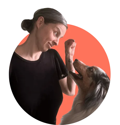 Woman looking at dog with treat in her hand