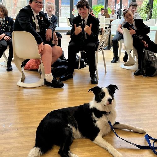 Therapy Dog Training