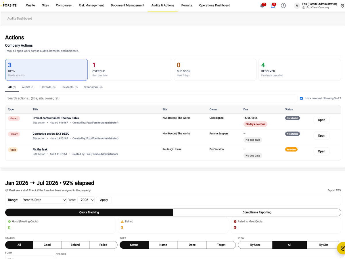 Site Audits