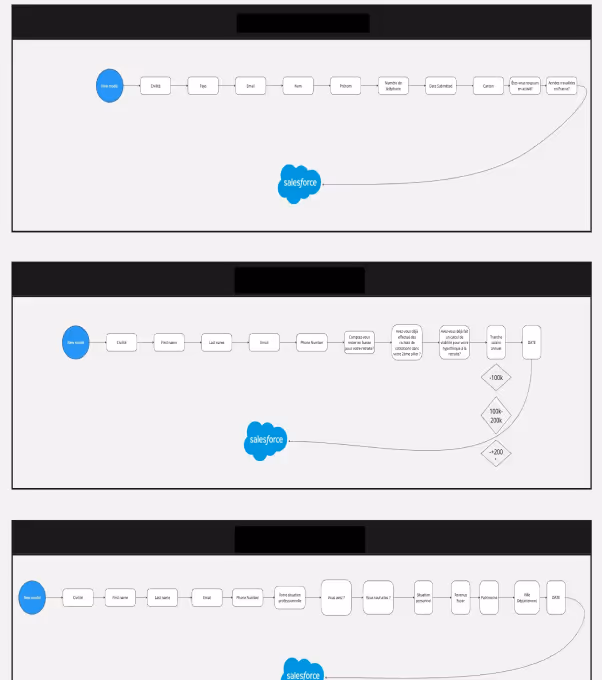 Three horizontal flowcharts illustrating data fields progressing from 'new leads' to Salesforce integration, including personal and professional information fields and decision points about data size and relevance.