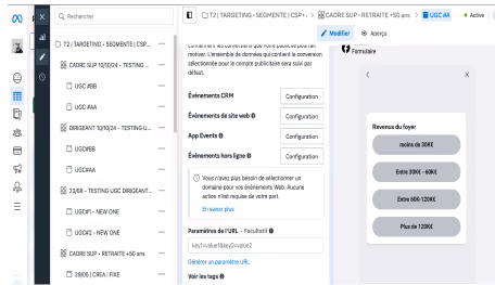 Screenshot of a software interface showing user targeting options on the left and a form on the right with household income ranges in French.