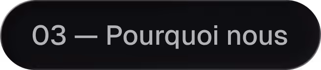 Black rounded rectangular button with text '03 — Pourquoi nous' in light gray.