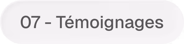 White rounded rectangle button with text '07 - Témoignages' in gray.