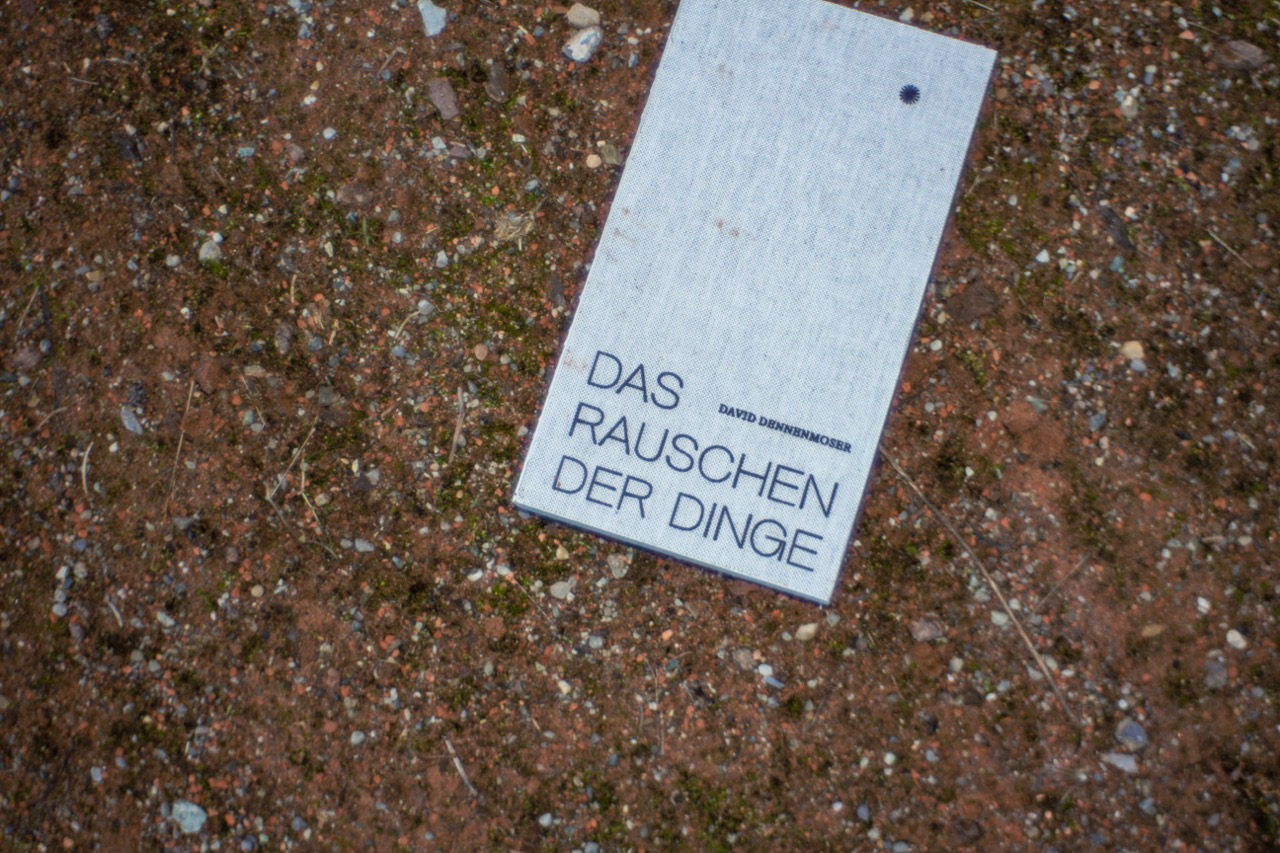 Buch mit dem Titel «Das Rauschen der Dinge» von David Dinnenmoser liegt auf einem kiesigen, erdigen Boden.