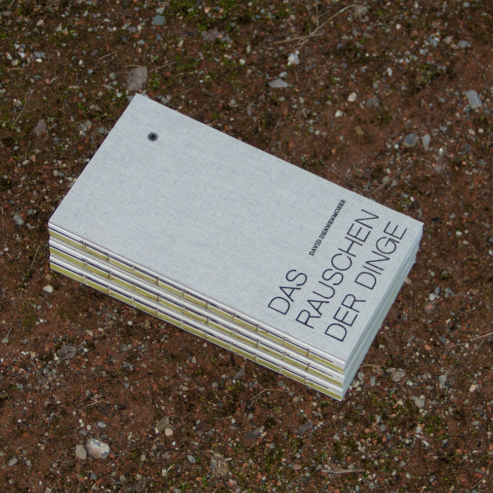 Ein Stapel grauer Bücher mit dem Titel "Das Rauschen der Dinge" von David Dennenmoser liegt auf erdigem Boden mit kleinen Steinen.