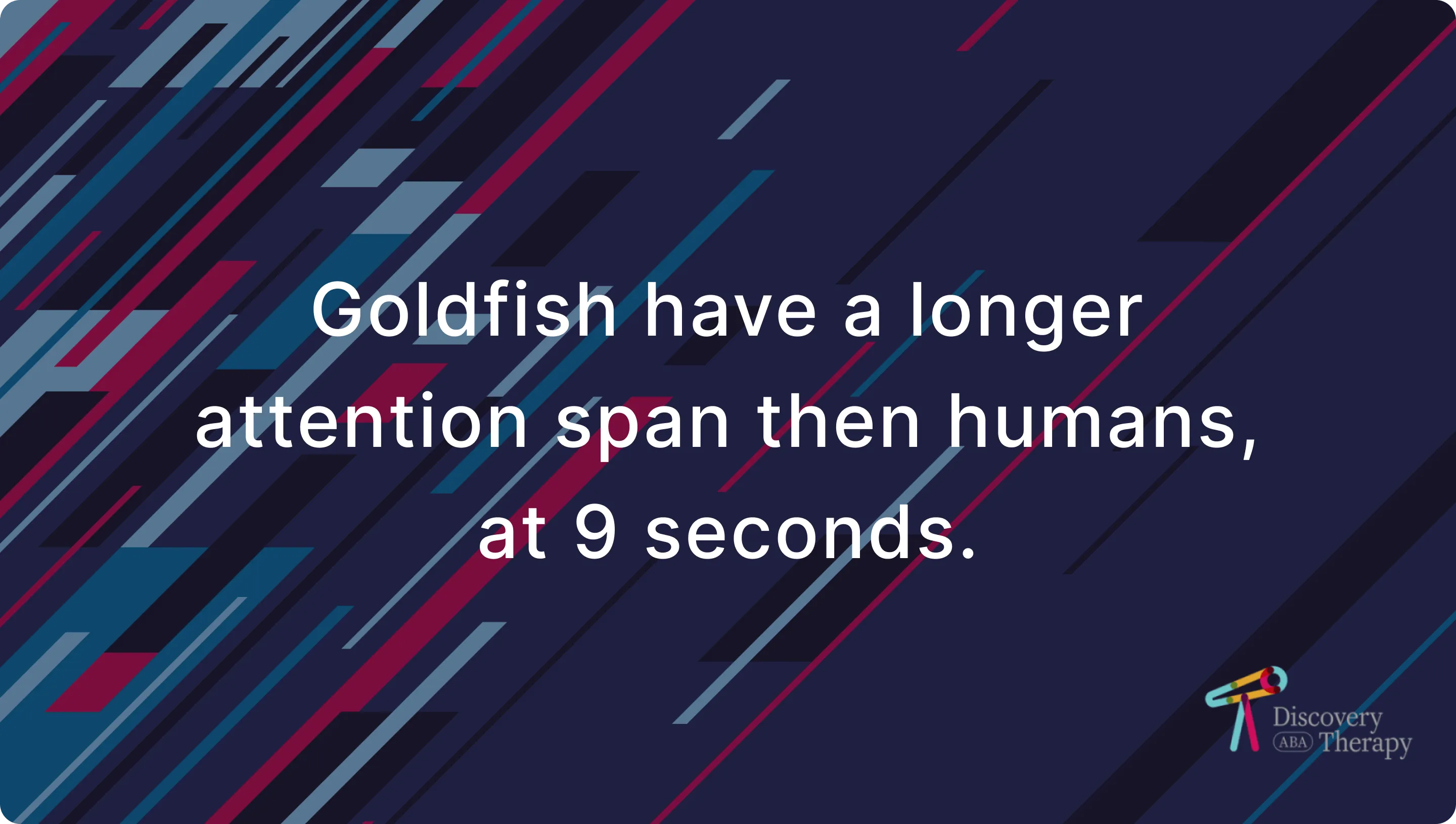 goldfish have a longer attention span than humans do