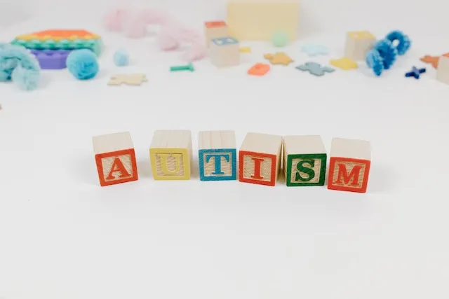 What is the Autism Program in Tennessee?
