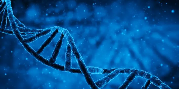 Which Parent Carries The Autism Gene?