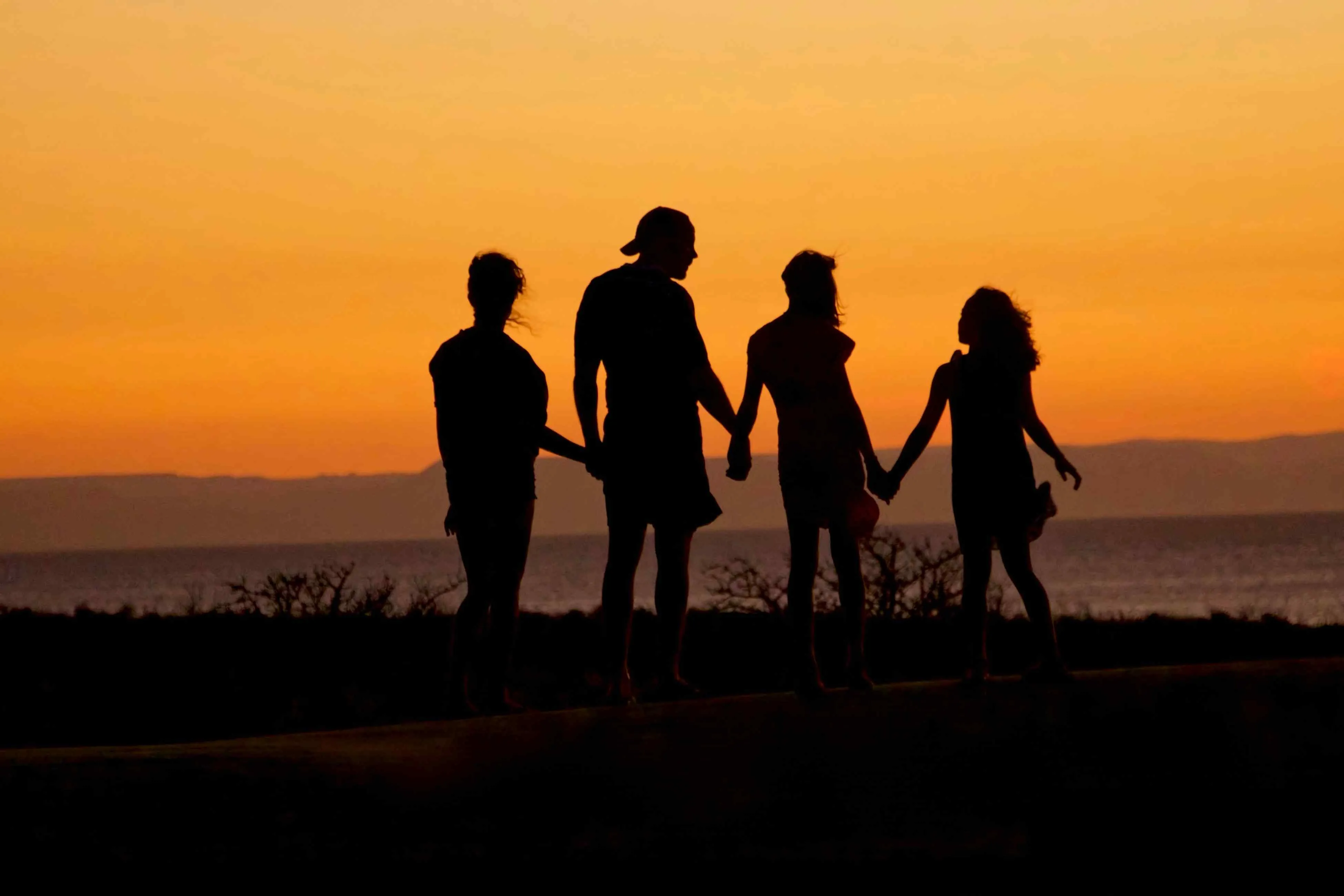 Do Older Fathers Cause Autism?
