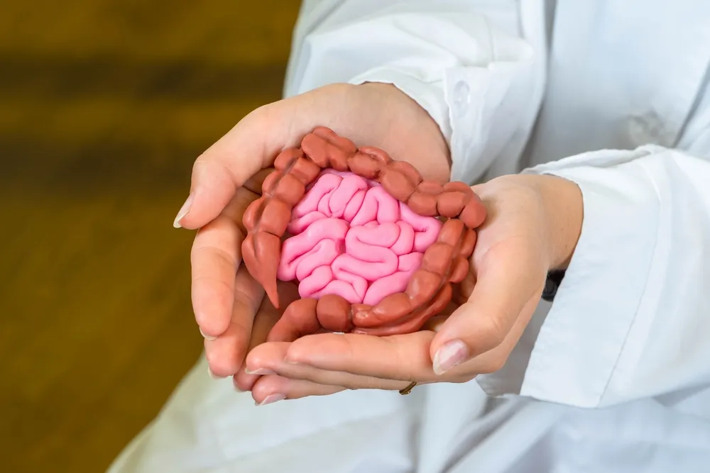 Gut Health and Autism: How They're Connected
