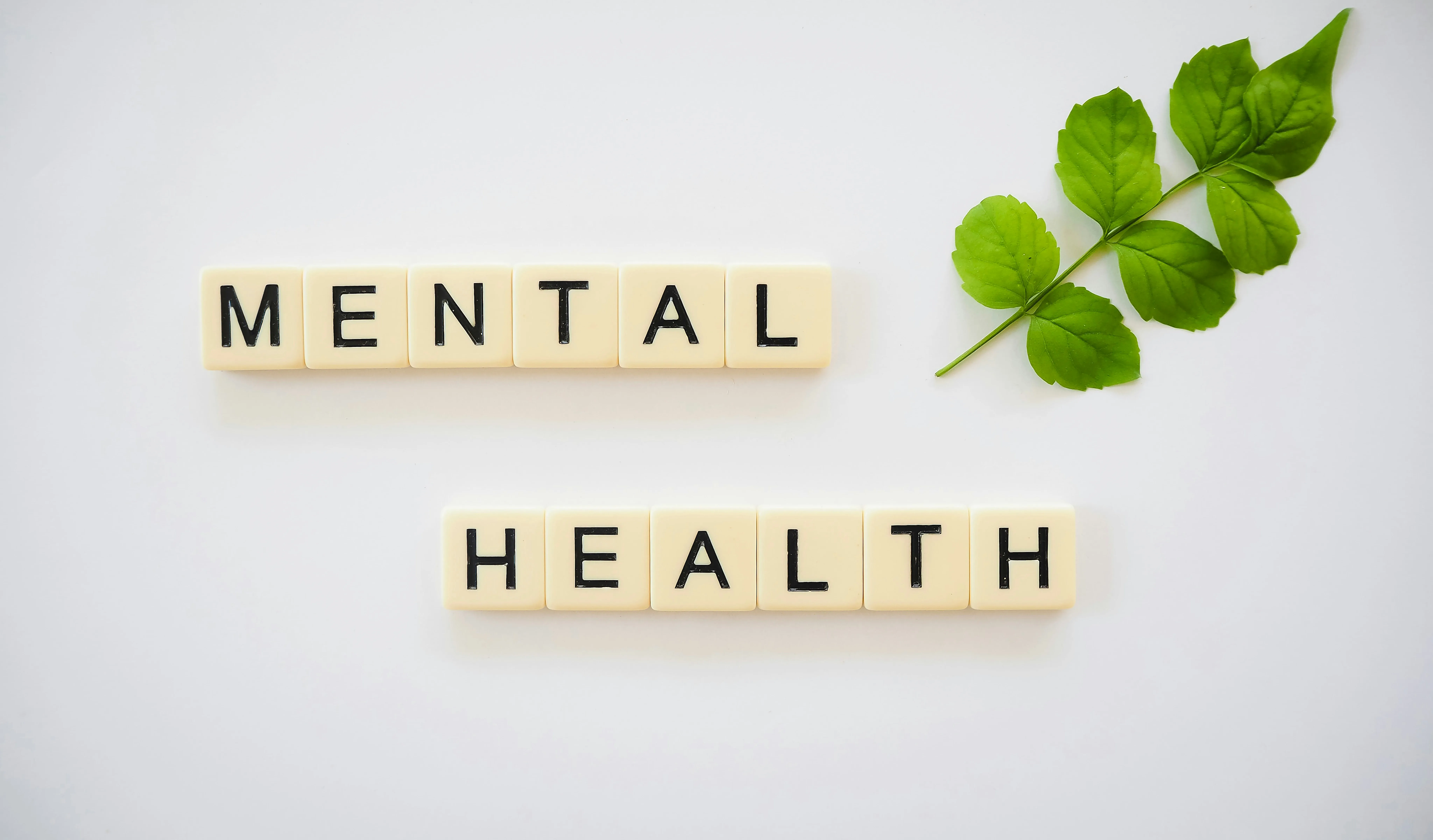Is OCD On The Spectrum?
