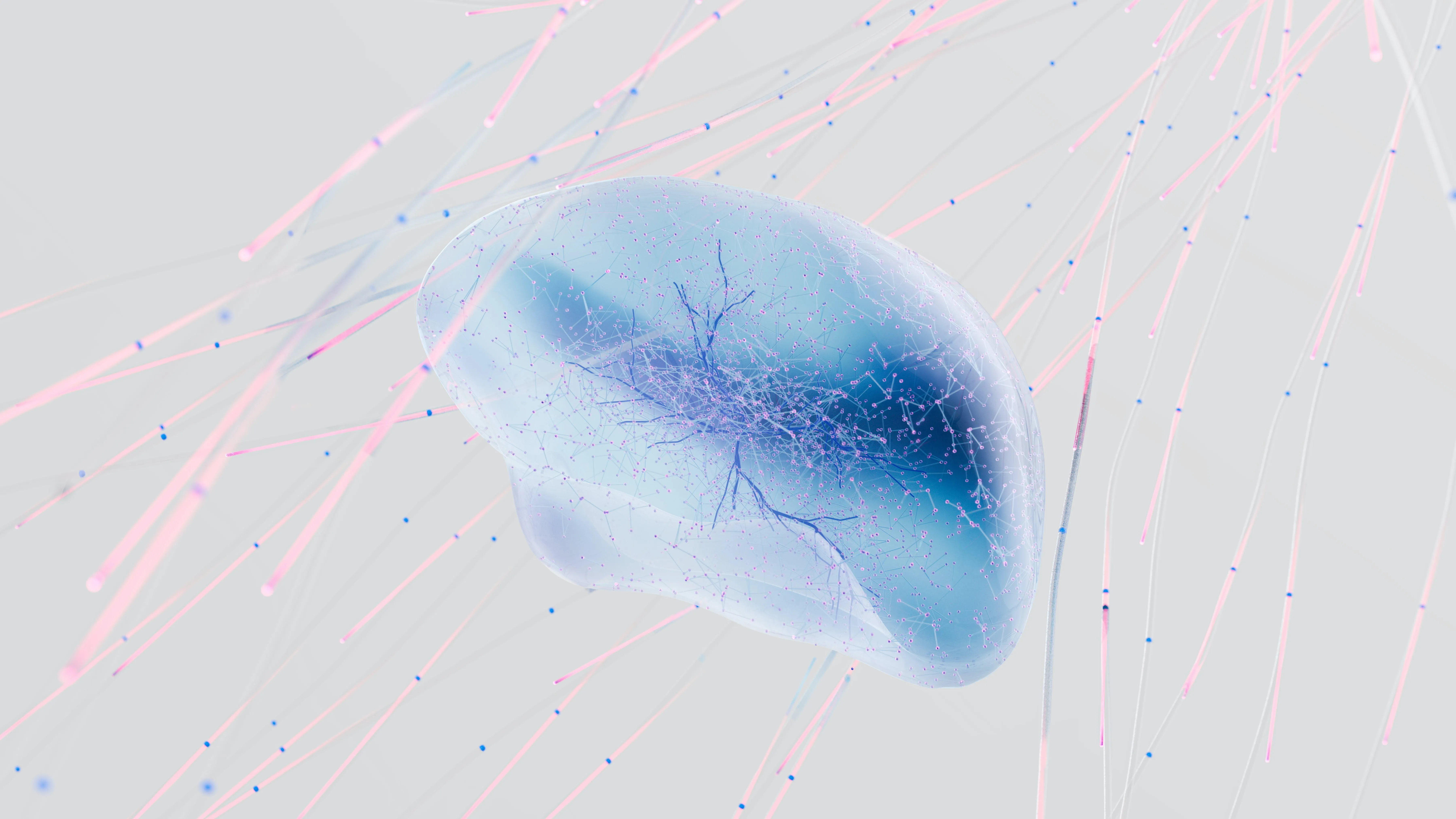 Serotonin And Autism: Decoding The Correlation