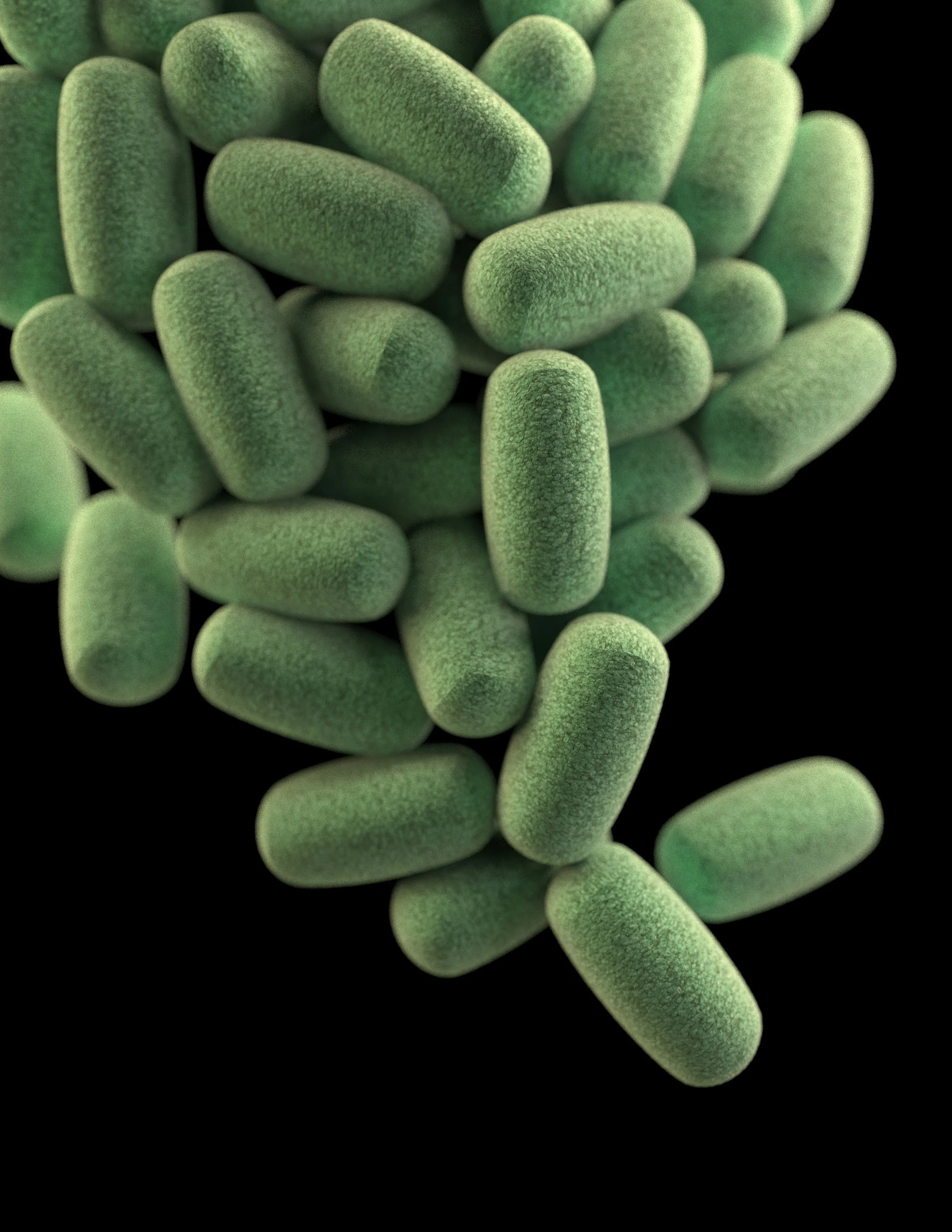 Sleep And Gut Health To Autism Behaviors