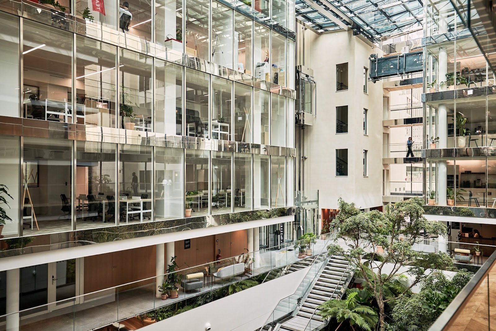 Atrium at Morning Laffitte