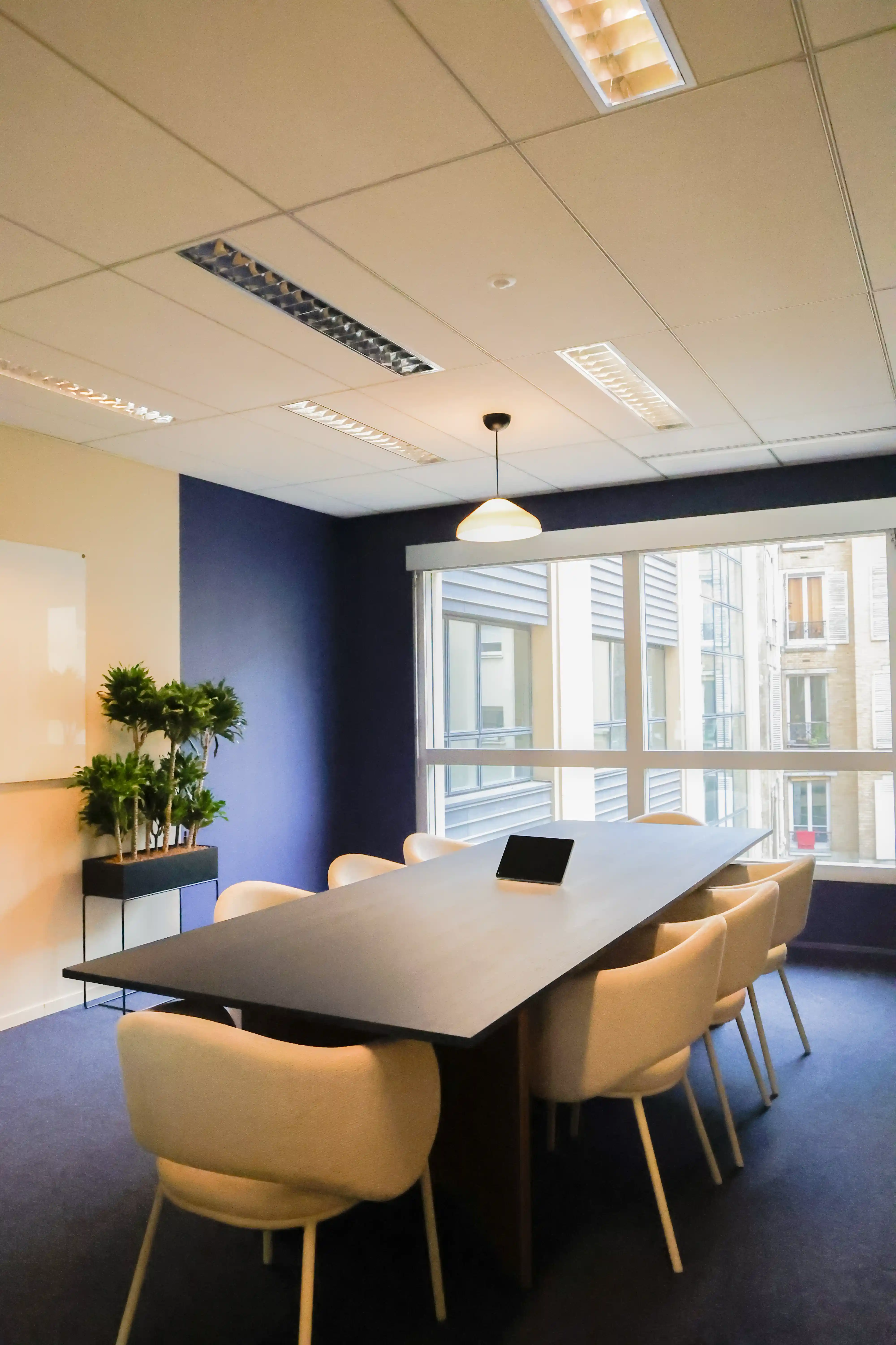Salle de réunion Rotaru du coworking Morning