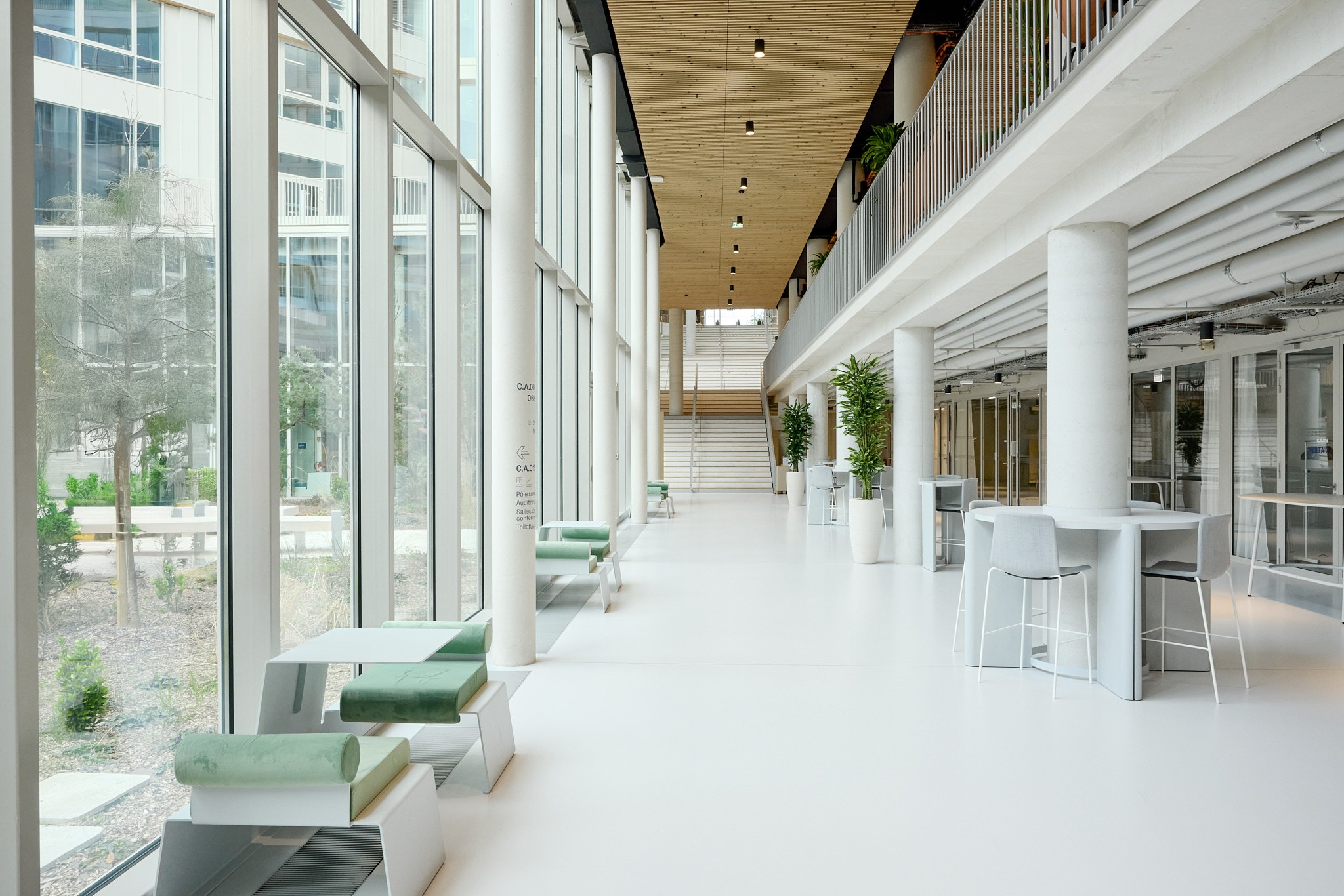 Patio du campus