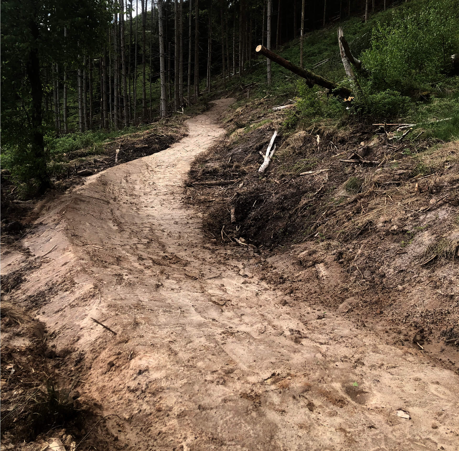 mountainbiketrail in construction