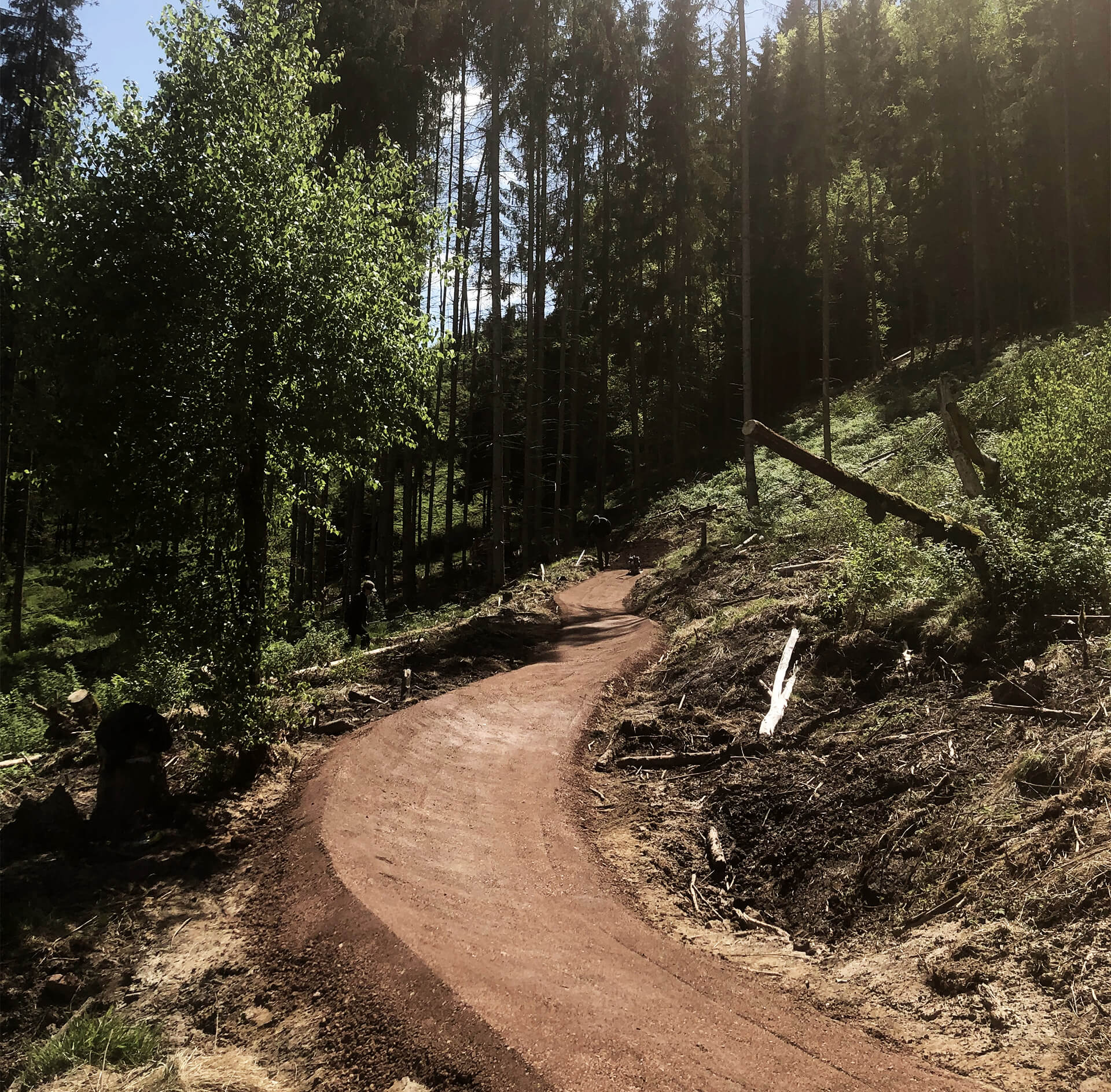 mountainbiketrail fully builded in the forest with smooth trail