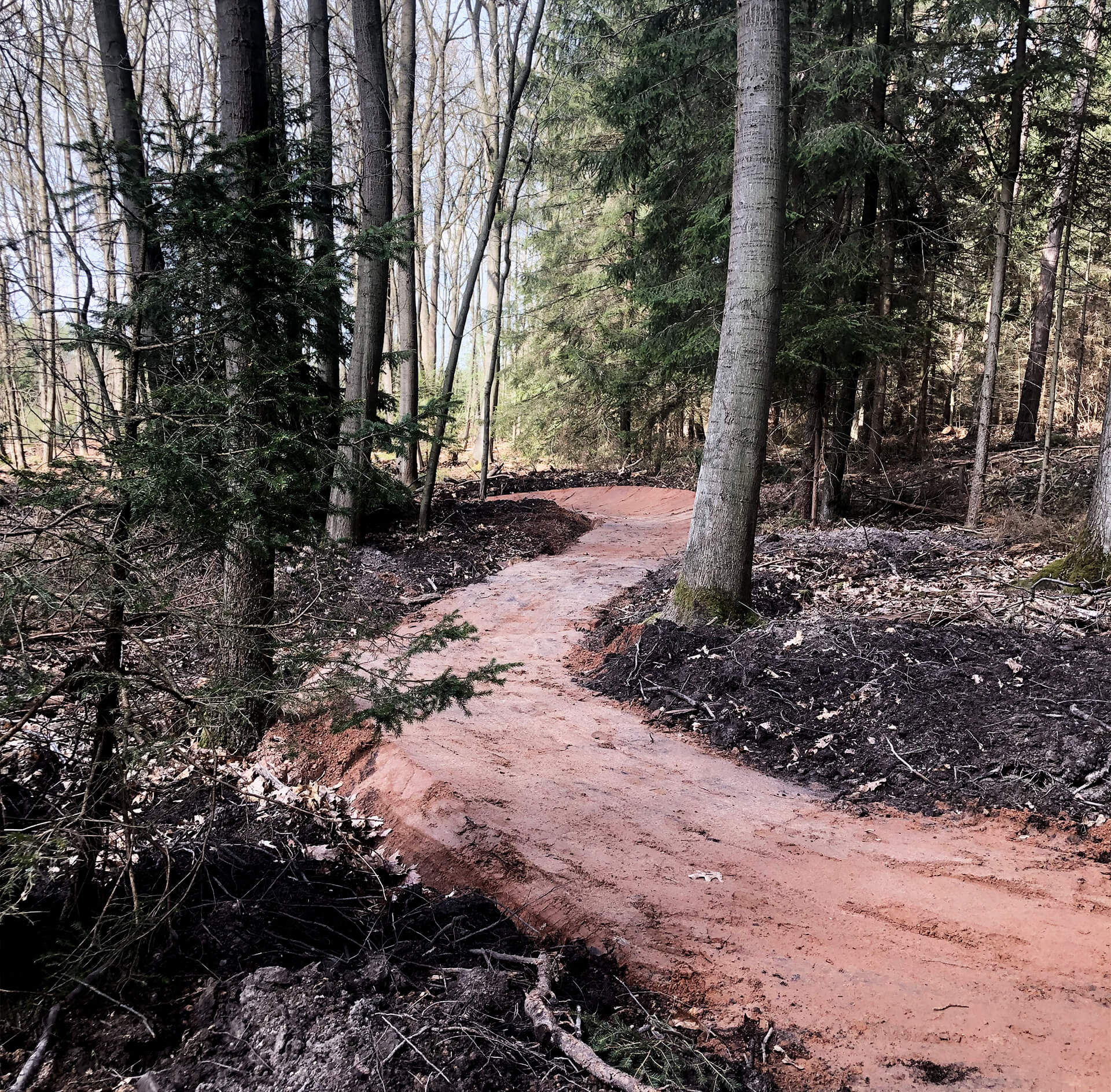 mountainbiketrail fully builded in the forest with smooth trail