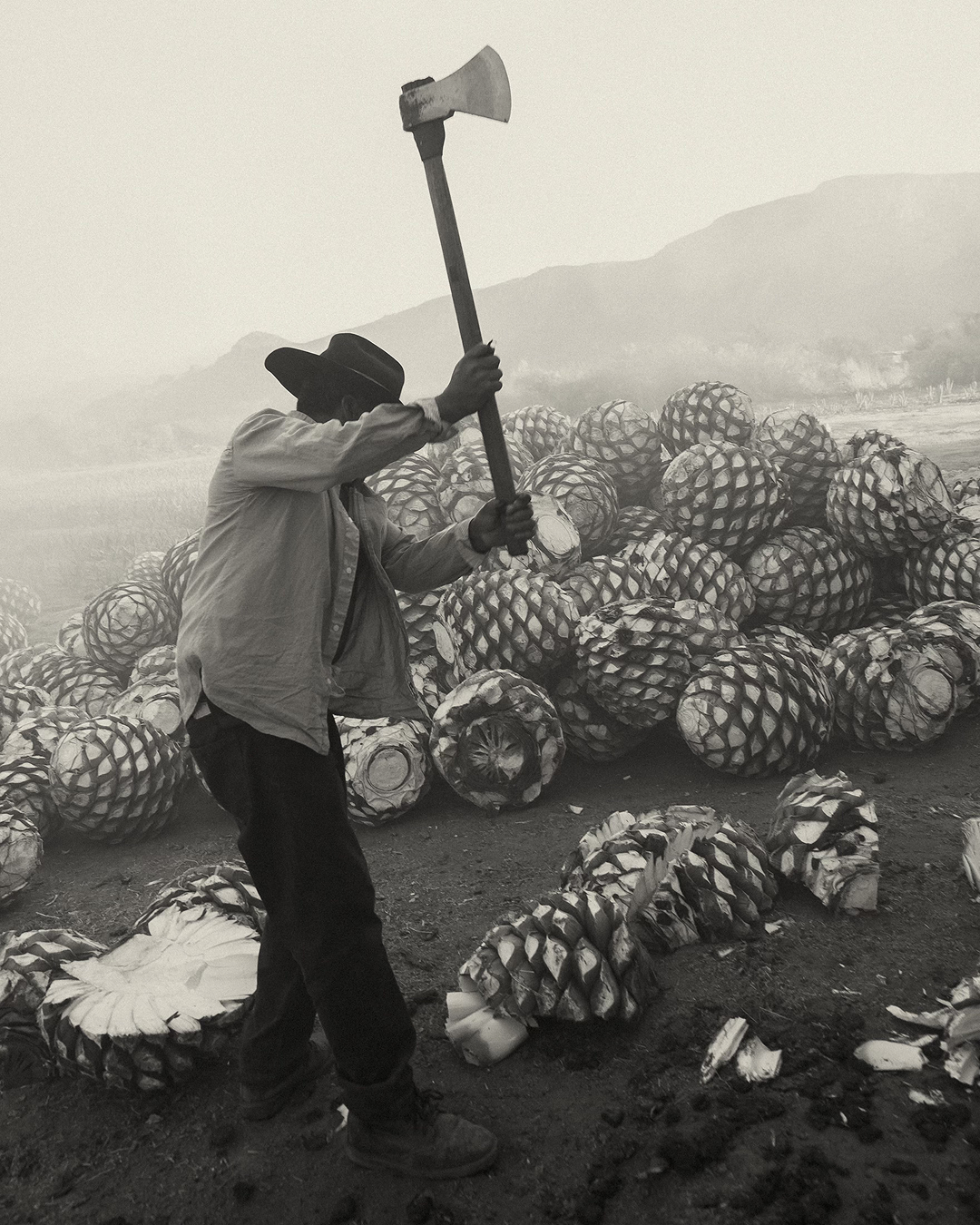 A man with an axe and agave, 2021