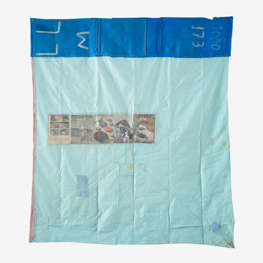 Bicos úteis e bizarros, 2025