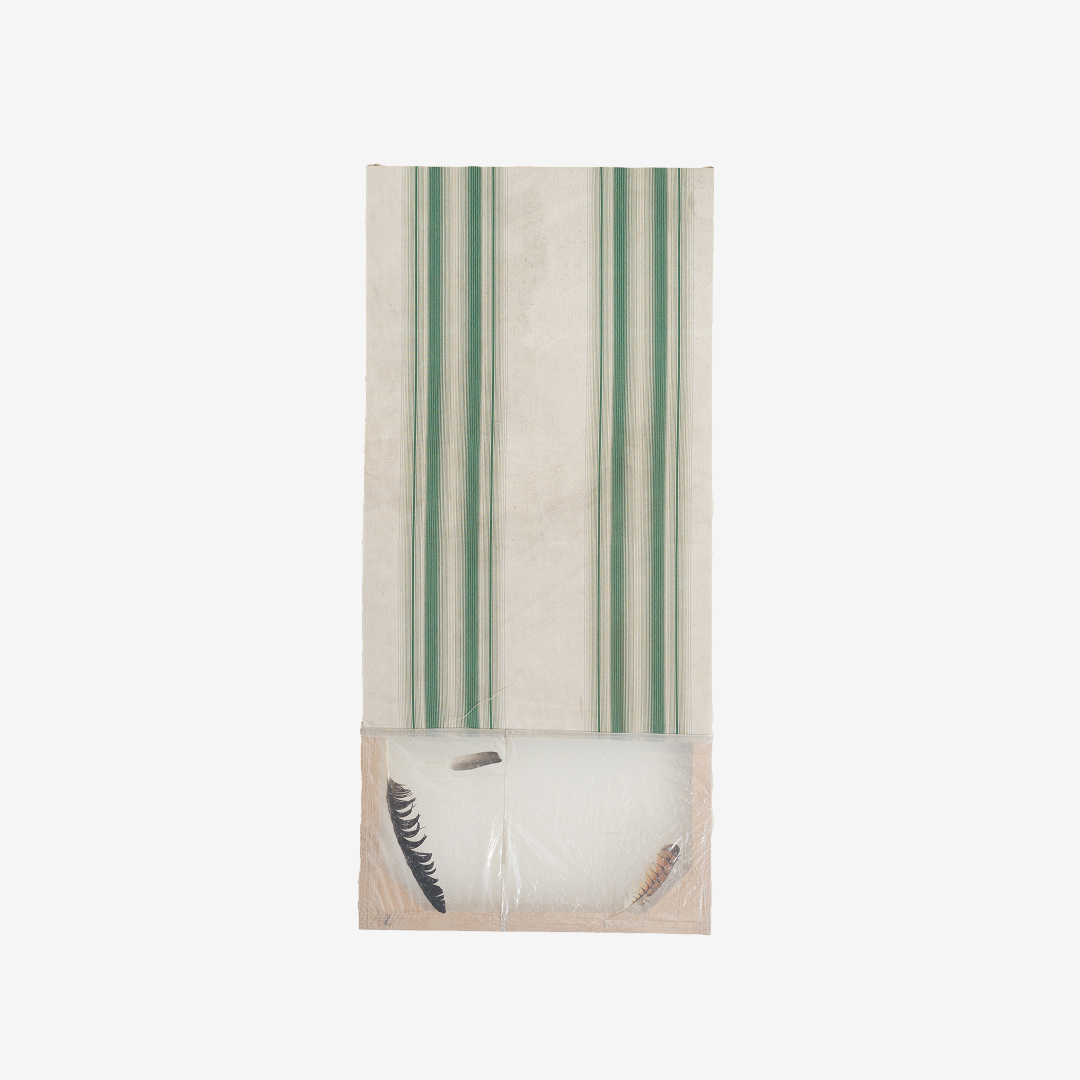 Listra e penas II, 2026